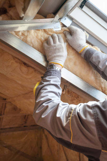 Best Insulation Installation Services in Finneytown, OH